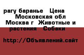рагу баранье › Цена ­ 116 - Московская обл., Москва г. Животные и растения » Собаки   